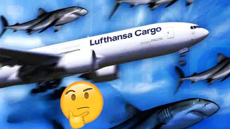 Lufthansa, köpek balığı derisinden ilham alan AeroSHARK teknolojisini Airbus uçaklarında kullanacak mı ?