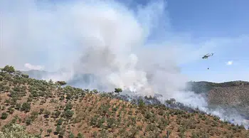 Muğla'da korkutan orman yangını! Havadan ve karadan müdahale sürüyor