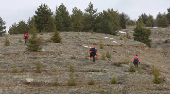 Elazığ'da 3 gündür kayıp yaşlı adamı arama çalışmaları sürüyor