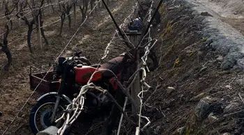 Manisa'da motosiklet devrildi : 70 yaşındaki sürücü öldü