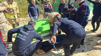 Hatay'da hafriyat kamyonu uçuruma yuvarlandı : 1 ölü