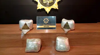 Şanlıurfa'da uyuşturucu operasyonunda 2 kişi gözaltına alındı