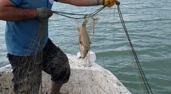 Isparta'da kaçak avcılık operasyonu : 7 çuval ağ ele geçirildi