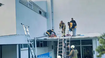 Esenyurt’ta panik anları : 4 el silah sesi sonrası kadın 6. kattan atladı