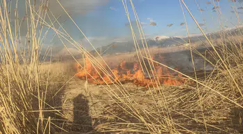 Van Muradiye'de sazlık alanda yangın çıktı