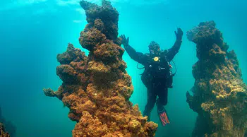 Van Gölü’nün mikrobiyalitleri Guinness için gün sayıyor