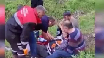 Sivas'ta mantar toplarken ayı saldırısına uğradı : Ayıyla boğuşan vatandaşın parmağı koptu
