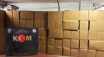Bursa'da kaçakçılık : 3 milyon makaron ele geçirildi