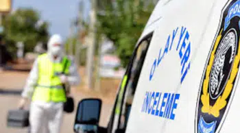 Başakşehir'de 4 yavru kedi parçalanmış halde bulundu