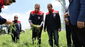 Kars'ın Akyaka ilçesini dolu yağışı vurdu : Tarım alanları zarar gördü