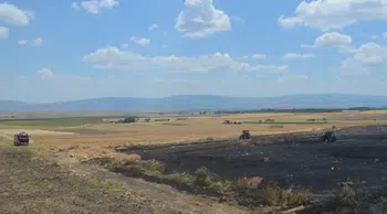 Amasya'da buğday ekili arazide yangın : 40 dönüm arazi zarar gördü