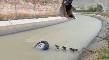 Malatya Darende'de traktör kazası