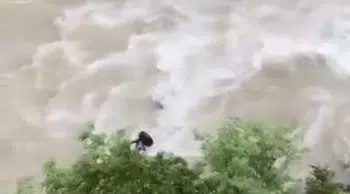 Artvin Şavşat'ta bir araç Çoruh Nehri'ne uçtu