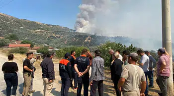 Aydın'da zeytinlik ve otluk alanda yangın çıktı