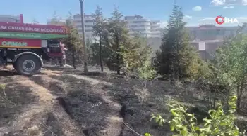 Ankara'da otluk alanda yangın çıktı