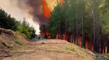 Muğla Seydikemer'deki orman yangınına havadan ve karadan müdahale sürüyor