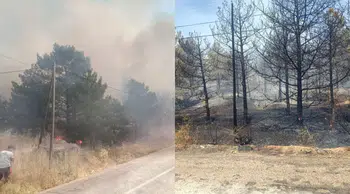Kırşehir'de üç ayrı yangın : Bin dönümden fazla arazi küle döndü