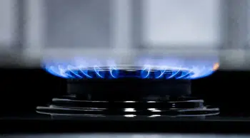 Spot piyasada doğal gaz fiyatları açıklandı