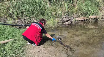 Tekirdağ'da dere alarmı ! Balık ölümleri sonrası inceleme başlatıldı