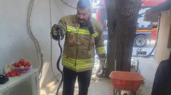 Antakya'da eve giren yılan itfaiye ekiplerince yakalanarak doğaya bırakıldı
