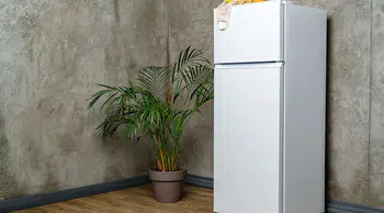 Ekmeği Uzun Süre Taze Tutmanın Yanlış Yöntemleri Neler? Uzmanlar Açıklıyor