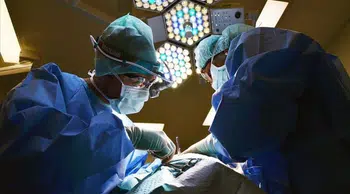 Tıp dünyasında bir ilk: Aynı anda üç domuz organı nakli mümkün