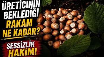 Fındık piyasasında durgunluk mu hakim? Üreticinin beklentisi nedir?