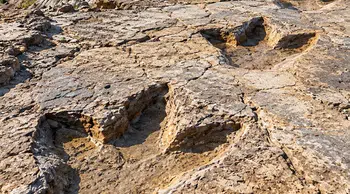 Kayalıkların arasında dev ayak izleri bulundu: Her biri neredeyse 1 metre