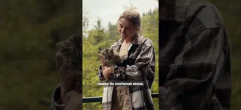 Türkiye'de kediler sokakta değil hayatın içinde