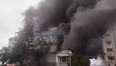 Trabzon'da fındık fabrikasında yangın çıktı : Çok sayıda ekip sevk edildi