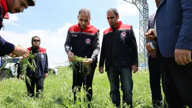 Kars'ın Akyaka ilçesini dolu yağışı vurdu : Tarım alanları zarar gördü