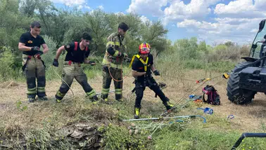 Diyarbakır'da yaban domuzu su kuyusuna düştü