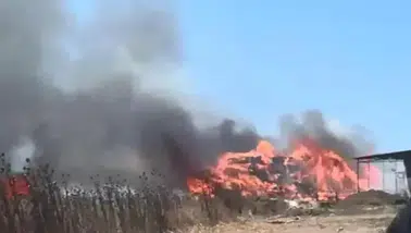 Çatalca'da otluk alanda yangın çıktı ! Alevler ağaçlık alana sıçradı