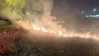 Van'da örtü yangını itfaiye ekiplerince söndürüldü