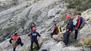 Tunceli'de günlerdir kayalıklarda mahsur kalan keçileri AFAD kurtardı