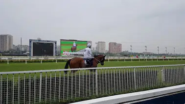 Smart Latch Yarış Atının Sahibi Kimdir? Suat Topçu Hakkında Bilgiler