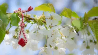 Marteniçka Ne Zaman Çıkarılır ve Nisan Ayına Kadar Takılır Mı?