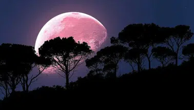 Pembe ay ne zaman, saat kaçta görünecek? Türkiye'de pembe ay nerelerde görülebilir?
