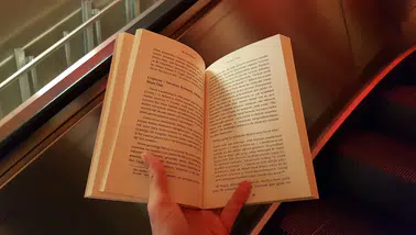 Her gün kitap okumak beyni yeniliyor mu ? Bilim insanları araştırdı
