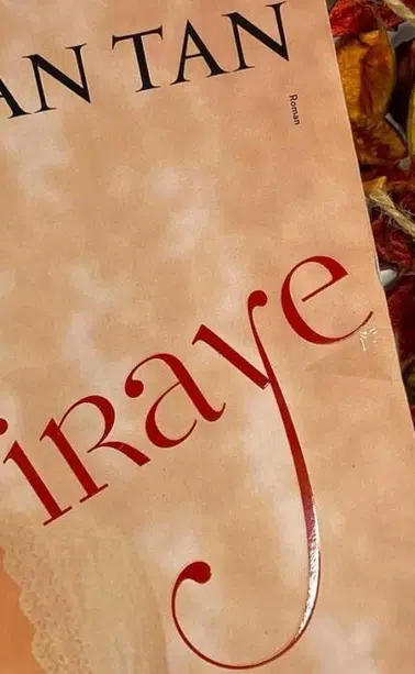 OGM'nin Yeni Edebiyat Uyarlaması 'Piraye' Dizisi Hakkında Neler Biliniyor?