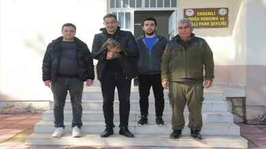 Mersin’de yaralı bulunan kızıl şahin tedavi altına alındı