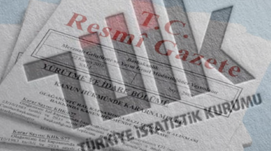 TÜİK'de iki isim görevden alındı
