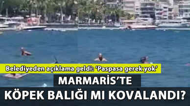 Marmaris'te köpek balığı mı? Belediyeden açıklama: 'Paspasa gerek yok'