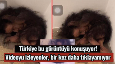 Türkiye bu görüntüyü konuşuyor! Videoyu izleyenler, bir kez daha tıklayamıyor