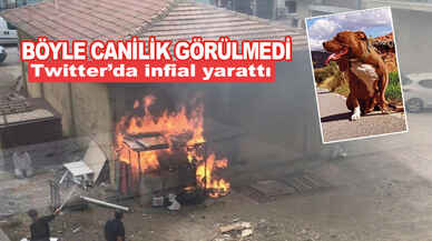 Twitter'da infial yarattı! Göz göre göre canilik yaptı, çığlıklara aldırış etmedi