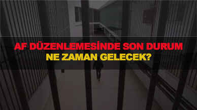 Af düzenlemesinde son durum, Ne zaman gelecek?