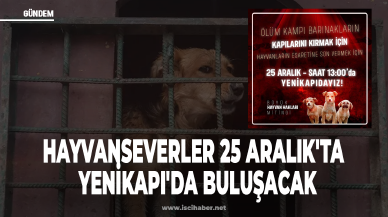 Hayvanseverler 25 Aralık'ta Yenikapı'da buluşacak