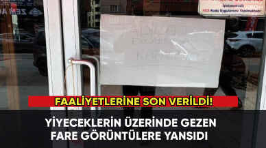 Yiyeceklerin üzerinde fare gezen işletmeye ceza