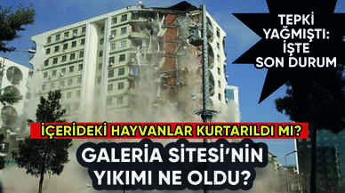Galeria Sitesi yıkımı ne oldu? İçerideki hayvanlar kurtarıldı mı?