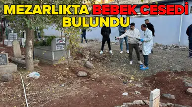 Şanlıurfa'da kan donduran olay!